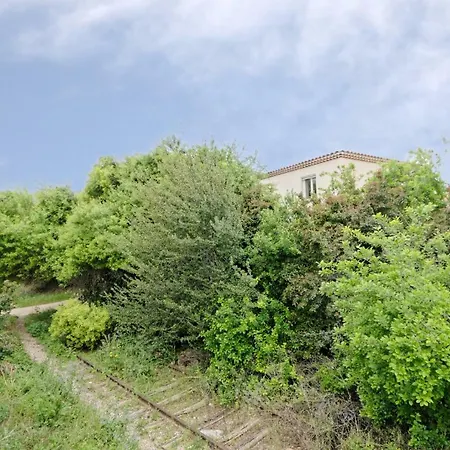 Garoutier-ciotat Apartment